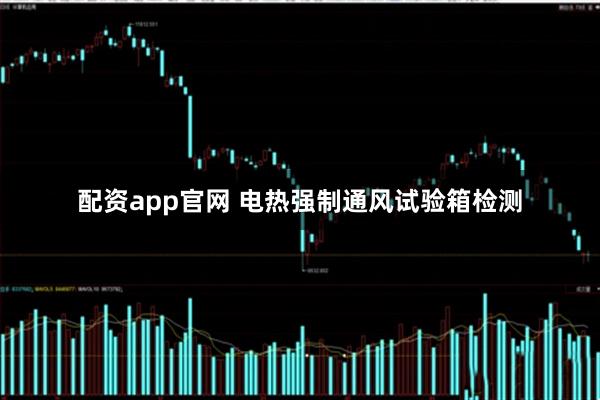 配资app官网 电热强制通风试验箱检测