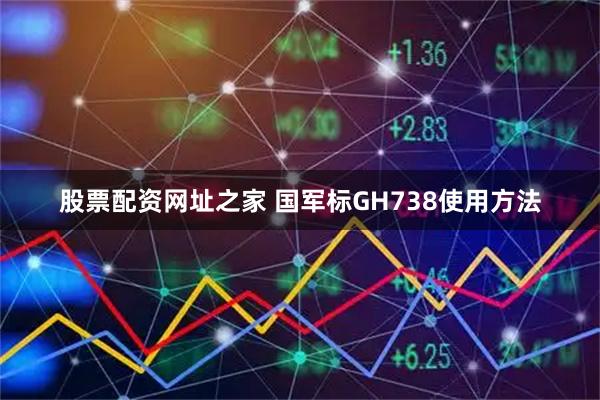 股票配资网址之家 国军标GH738使用方法